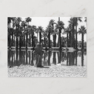 Swimming Lessons Postcard