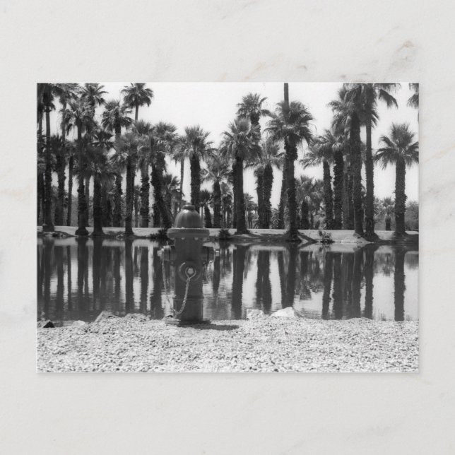 Swimming Lessons Postcard (Front)