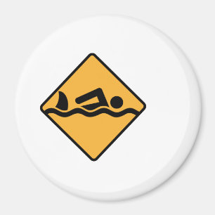 swimming magnet