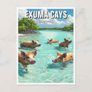 Swimming Pigs Exuma Cays Bahamas Travel Postcard