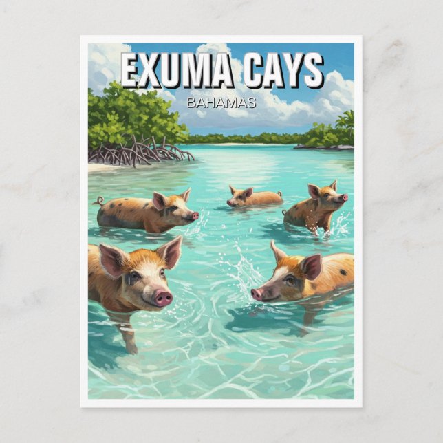 Swimming Pigs Exuma Cays Bahamas Travel Postcard (Front)