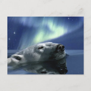SWIMMING POLAR BEAR Postcard