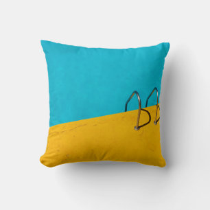 Swimming pool with stainless steel ladder cushion