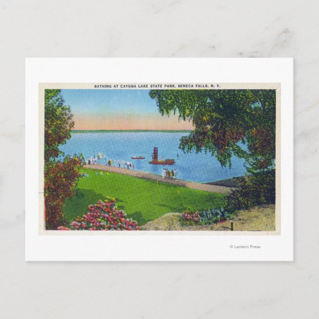 Swimming Scene at Cayuga Lake State Park Postcard (Front)