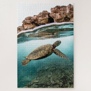 Swimming Sea Turtle and Rocks Jigsaw Puzzle