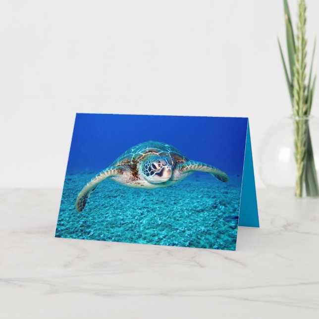 Swimming Sea Turtle Card (Front)