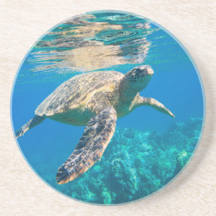 Swimming Sea Turtle Coaster