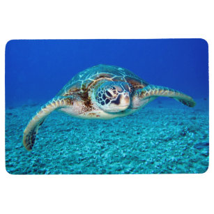 Turtle Indoor Floor Mats Rugs Zazzle Com Au