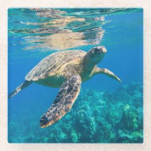 Swimming Sea Turtle Glass Coaster