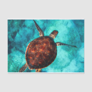 Swimming Sea Turtle in Blue Ocean Water  Tissue Paper