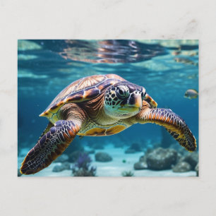 Swimming Sea Turtle in the Ocean Postcard