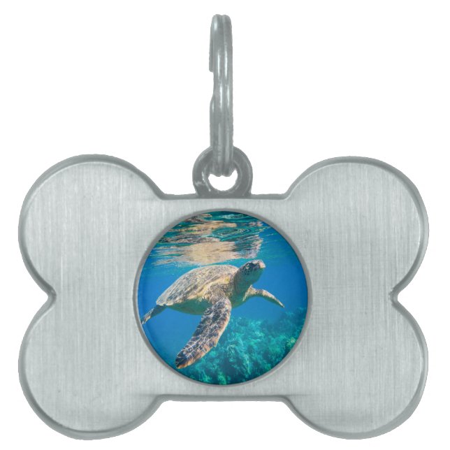 Swimming Sea Turtle Pet Name Tag (Front)