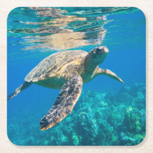 Swimming Sea Turtle Square Paper Coaster