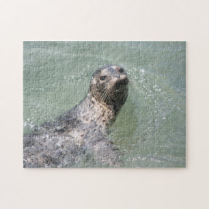 Swimming Seal  Jigsaw Puzzle