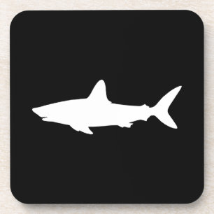 Swimming Shark Coaster