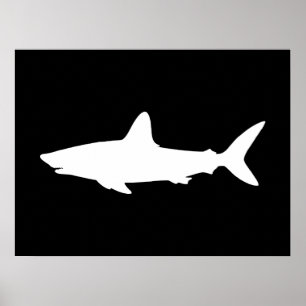Swimming Shark Poster