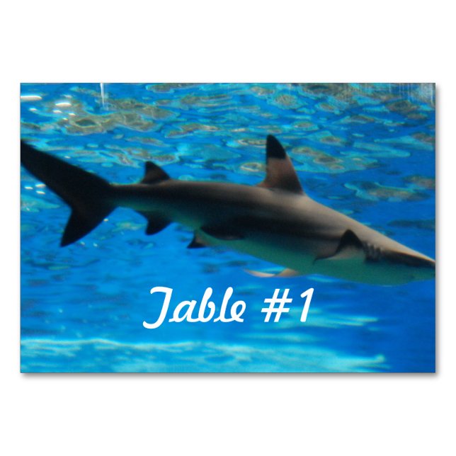 Swimming Shark Table Number (Front)