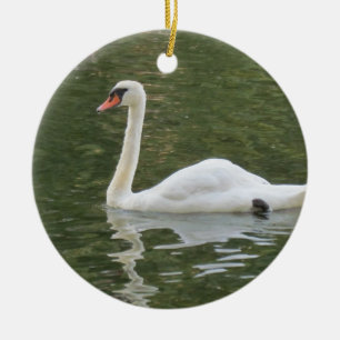Swimming Swan Christmas Ornament