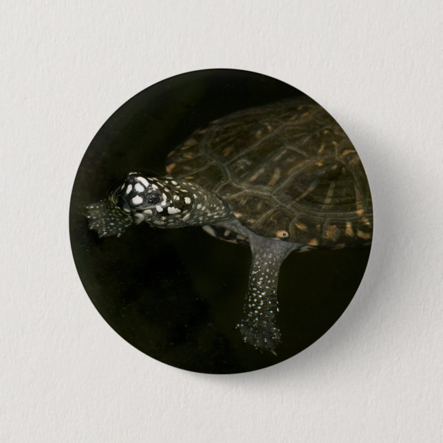 Swimming Turtle 6 Cm Round Badge (Front)