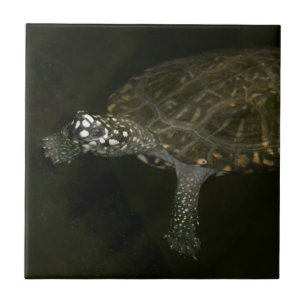 Swimming Turtle Ceramic Tile