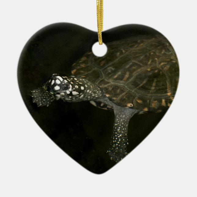 Swimming Turtle Ceramic Tree Decoration (Front)