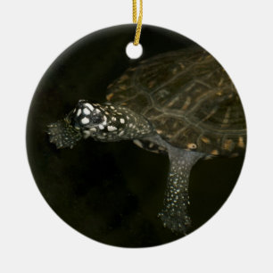 Swimming Turtle Ceramic Tree Decoration