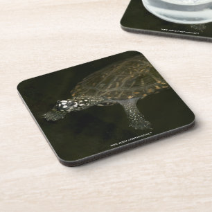 Swimming Turtle Coaster