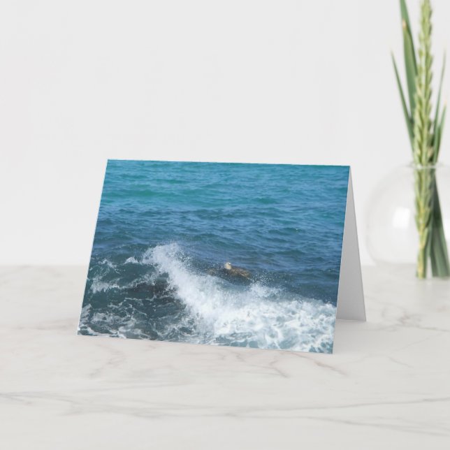 swimming turtle greeting card (blank inside) (Front)