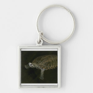 Swimming Turtle Key Ring