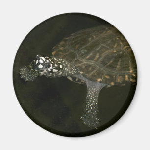 Swimming Turtle Magnet