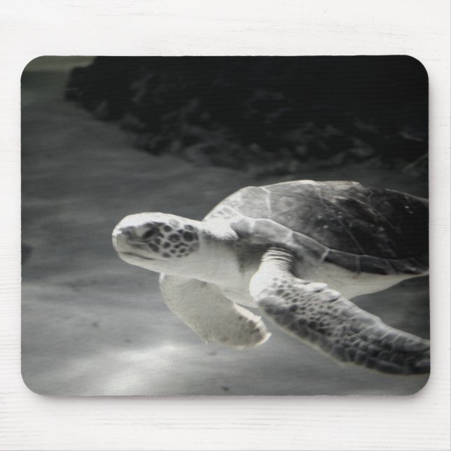 Swimming Turtle Mouse Pad (Front)