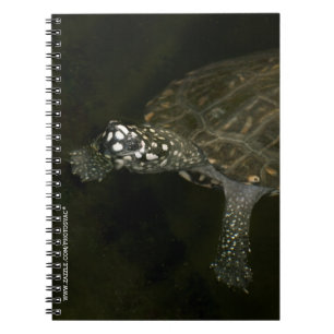 Swimming Turtle Notebook
