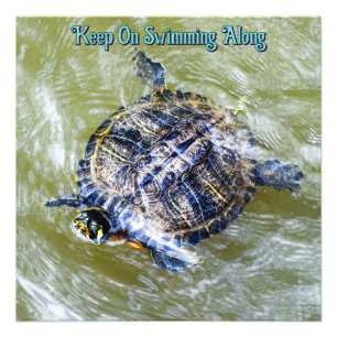Swimming Turtle Says Hello Photo Print