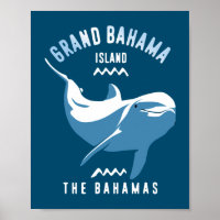 Swimming with Dolphins Grand Bahama