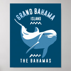 Swimming with Dolphins Grand Bahama Poster