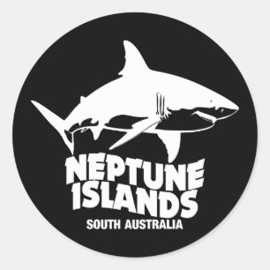 Swimming With Great White Sharks Neptune Islands Classic Round Sticker