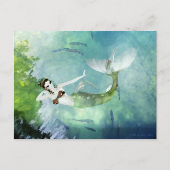 Swimming with Salmon Postcard (Front)