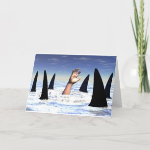 Swimming with sharks card