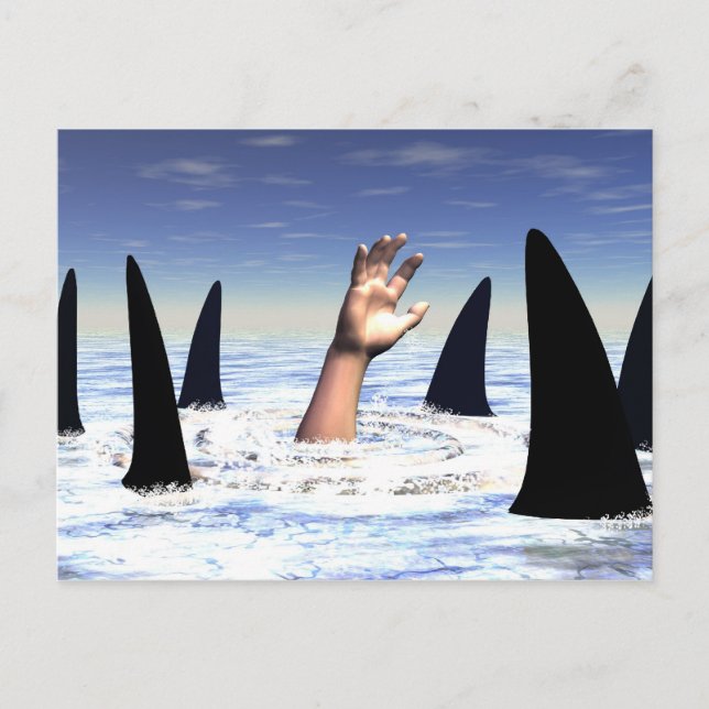Swimming with sharks postcard (Front)