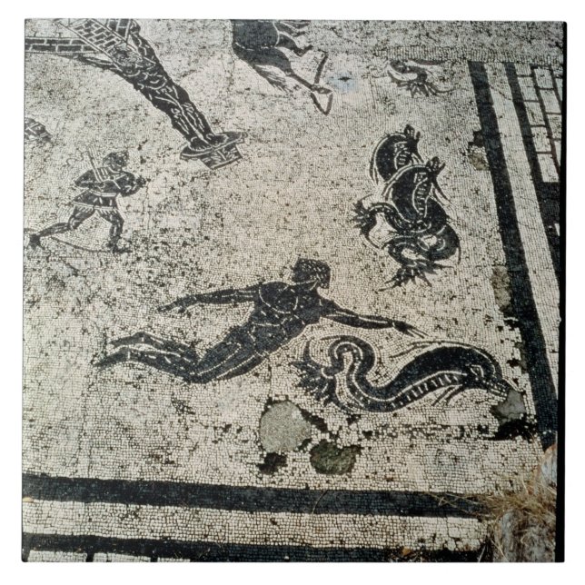 Swimming with the Dolphins, from the Frigidarium o Ceramic Tile (Front)