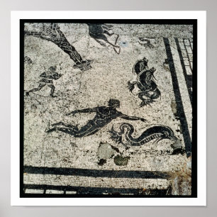 Swimming with the Dolphins, from the Frigidarium o Poster
