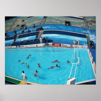 SWIMMING WORLD CHAMPIONSHIP ROME 2009 POSTER