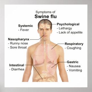 Swine Flu Poster