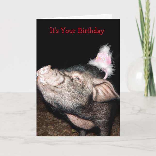 Swine Time, Pig Birthday Card (Front)