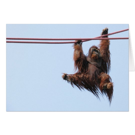 Swing In The New Year Card