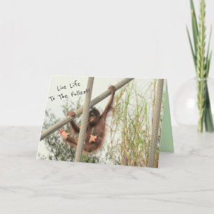 Swinging Baby Orangutan Greeting Card