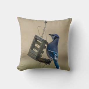 Swinging Blue Jay Cushion