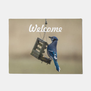 Swinging Blue Jay Welcome Doormat