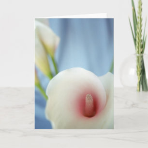 Swirl Lily Flower Greeting Card