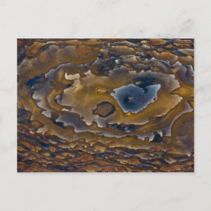 Swirl Pattern On Jasper Slab Postcard